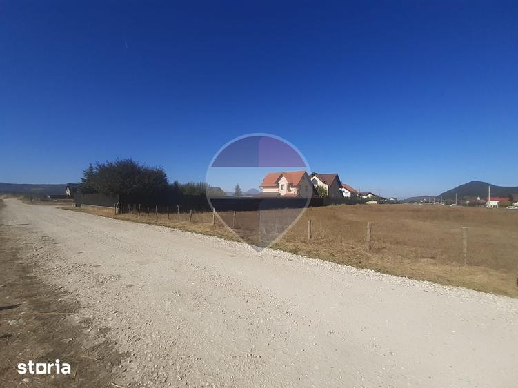 Teren de 7150 mp, în Sud