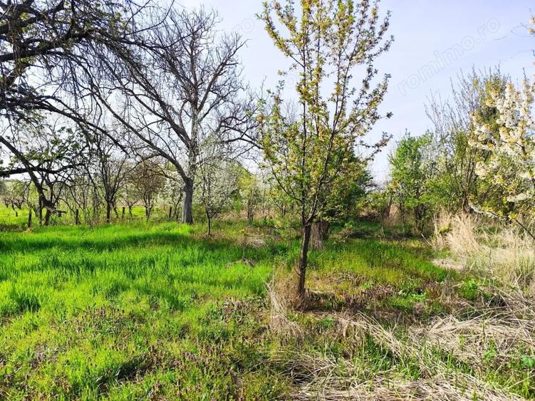 Casă cu 4 camere cu Teren 4122 Mp în Petid