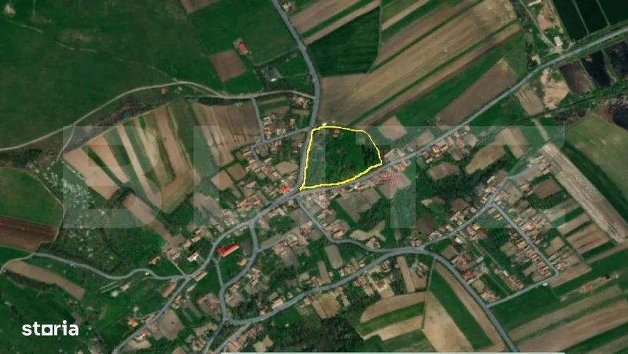 Casă cu 3 camere în Moișa