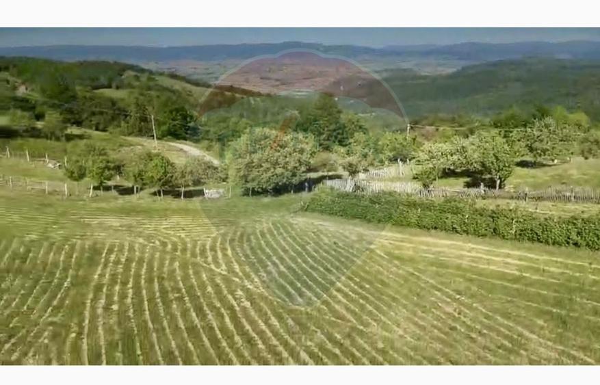 Teren agricol intravilan de 20170 mp, în Șuncuiuș
