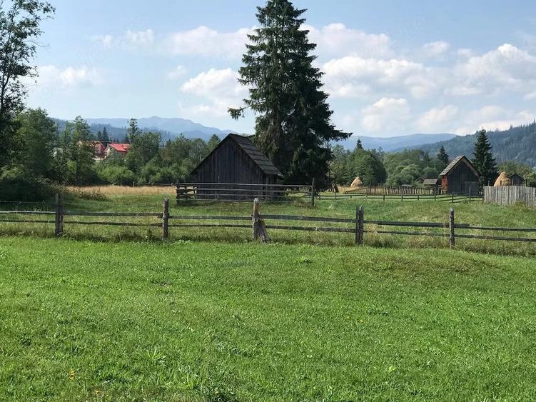 Teren de 10000 mp, în Șaru Dornei