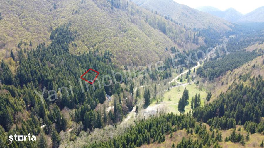 Teren de 983 mp, în Nucșoara
