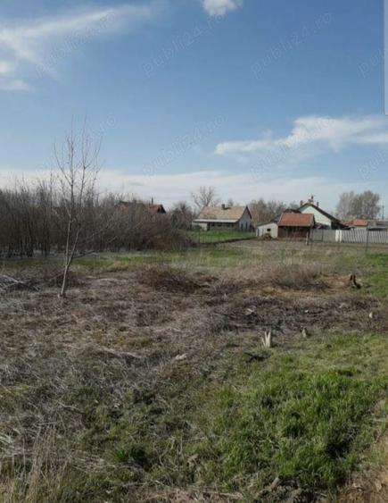 Teren de 1290 mp, în Turnu