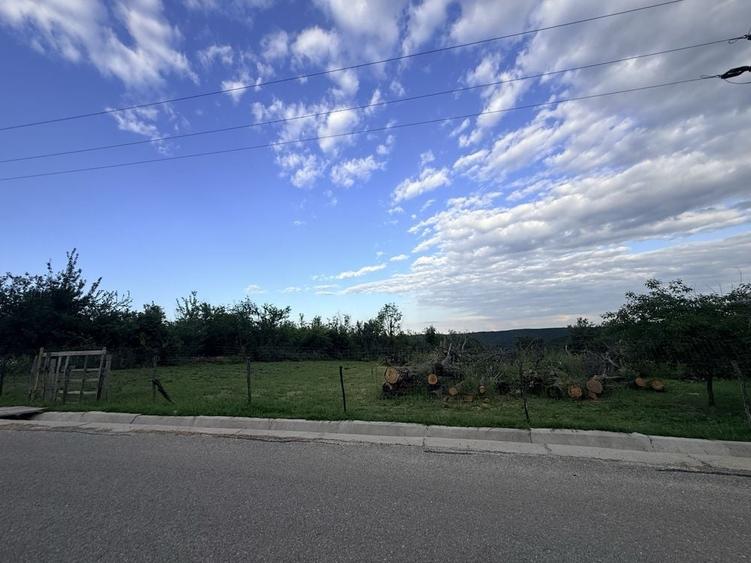Teren de 3000 mp, în Băbana