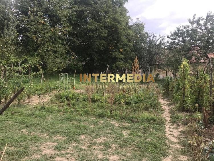Casă individuală cu 3 camere cu Teren 1300 Mp în Cricău