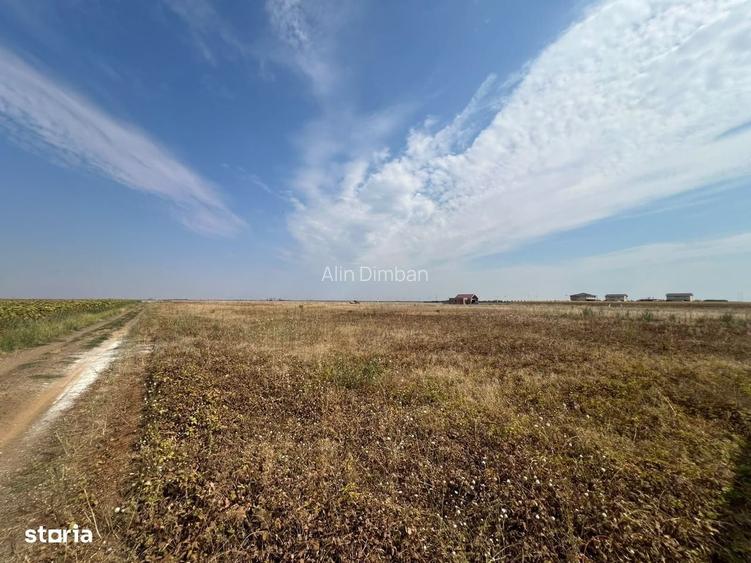 Teren intravilan, 733mp, posibilitate investitie-Sanandrei