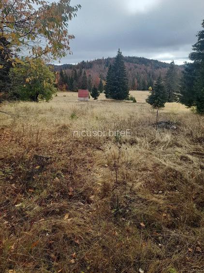 Teren de 6000 mp, în Deal