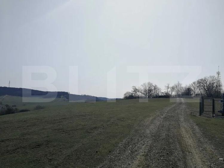Teren Construcții intravilan de 15904 mp, în Dâmbu Pietros