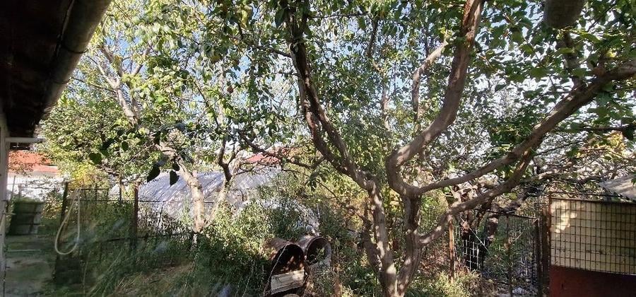 Casă cu Teren 1000 Mp în Ultracentral