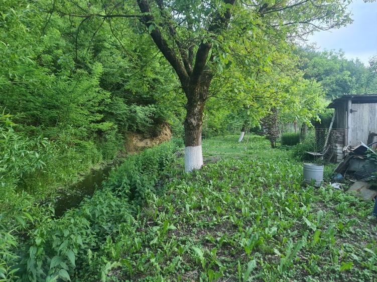 Casă individuală cu 3 camere cu Teren 1500 Mp în Central