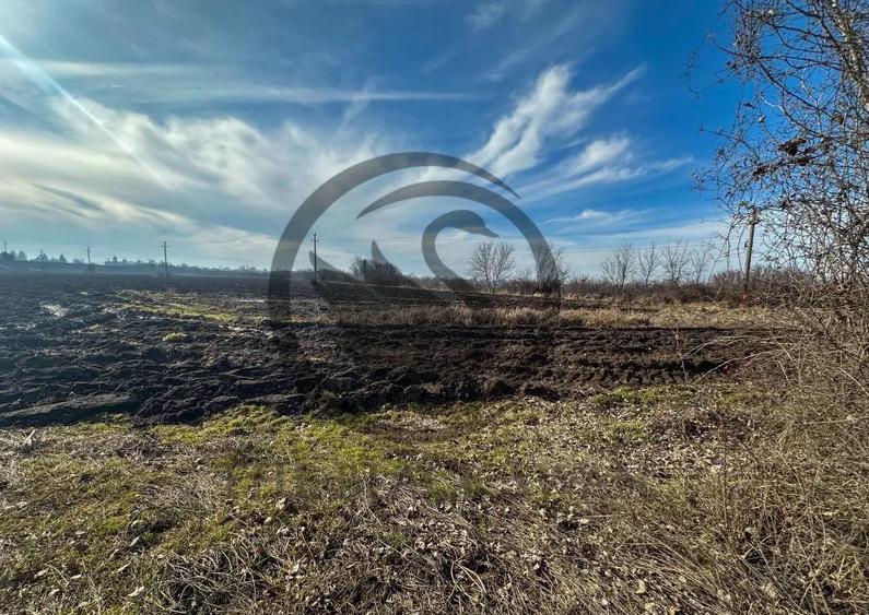 Teren de 10083 mp, în Potigrafu