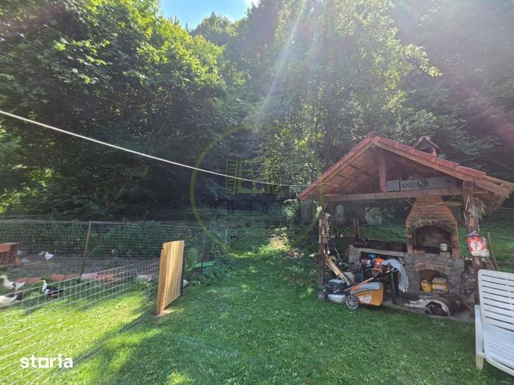 PROPRIETATE EXTRAORDINARA LOTRIOARA, JUDE?UL SIBIU! - 13