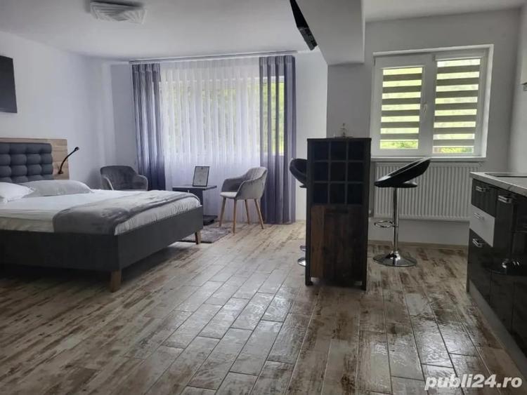 Garsonieră decomandată în Brădetu
