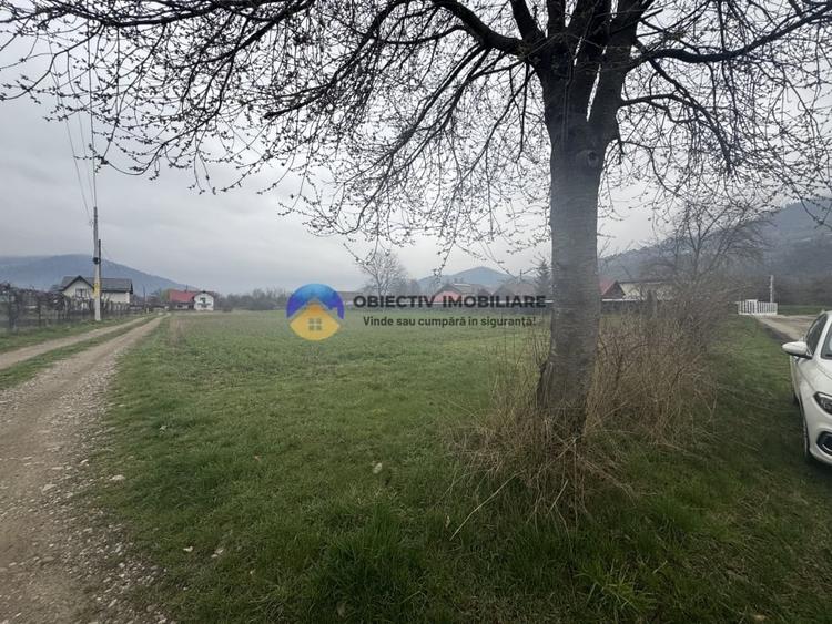 Teren intravilan de 1200 mp, în Vădurele (Alexandru cel Bun)