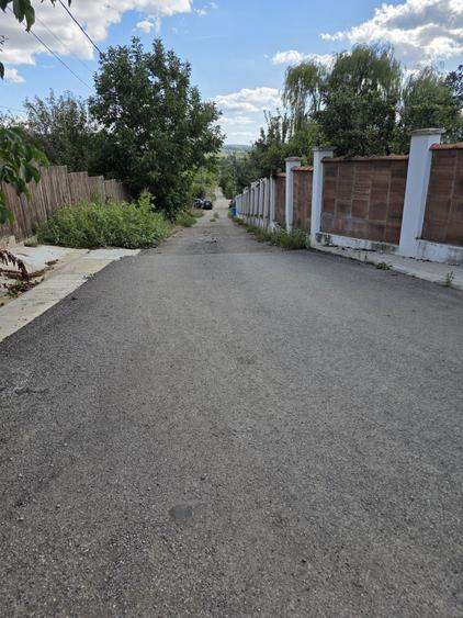 Teren de vanzare zona Bucium Plopii fara Sot - 8