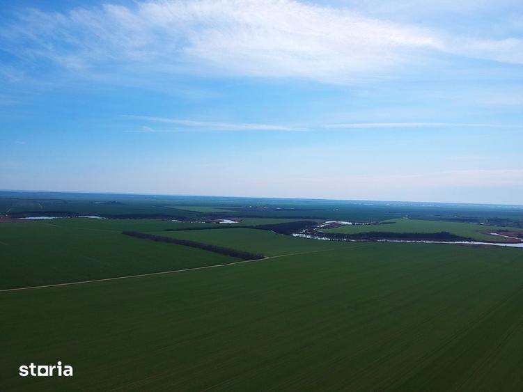 Teren de 1621 mp, în Vasilați