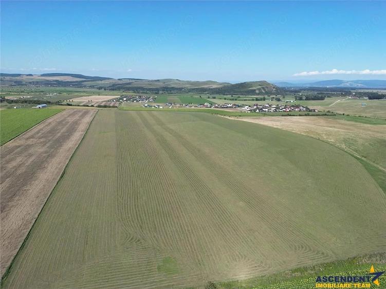 Parcela de teren 503 mp, Bod-Sanpetru - 5