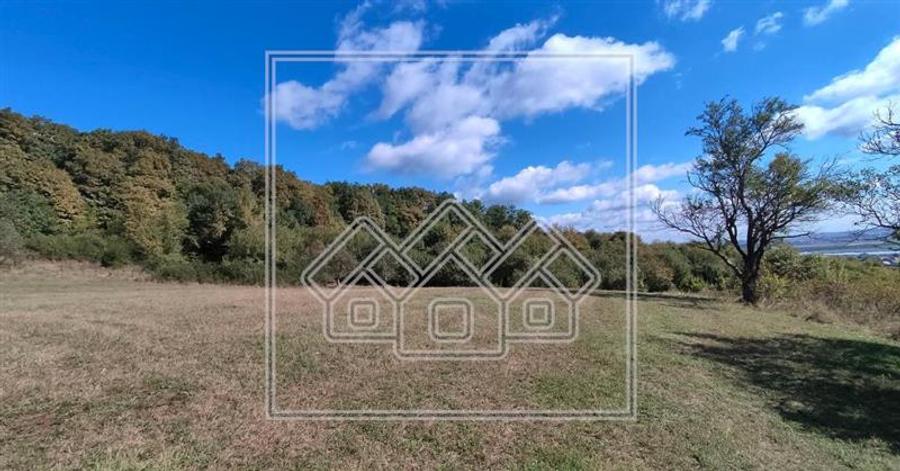 Teren agricol intravilan de 8300 mp, în Aeroport