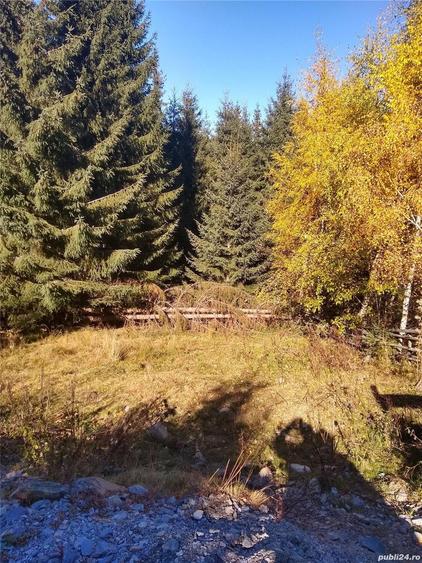 Teren de 448 mp, în Băișoara