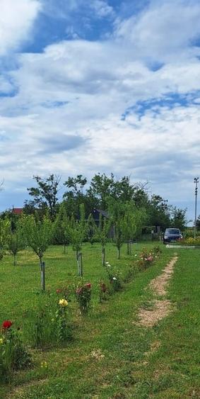 Teren Construcții intravilan de 1600 mp, în Potlogeni-Deal