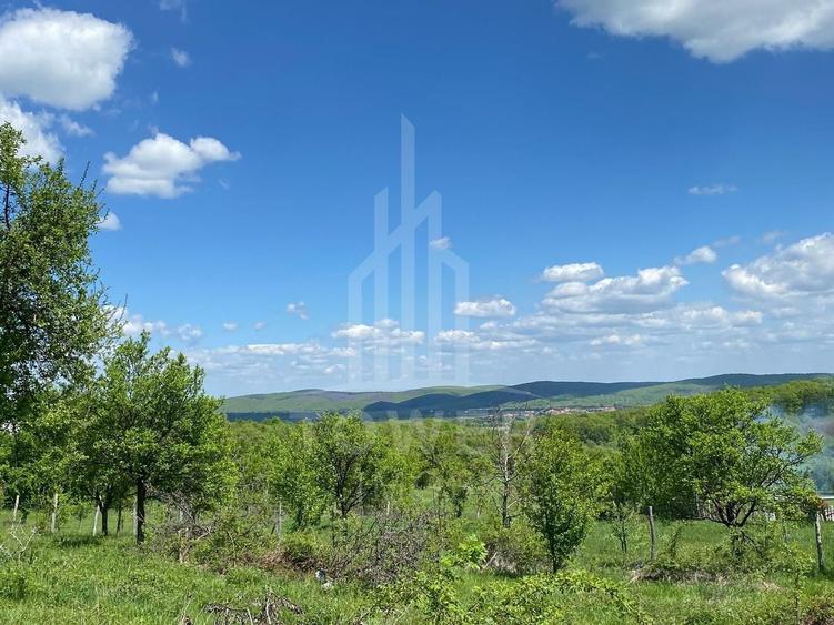 Teren Construcții intravilan de 1000 mp, în Sibiel