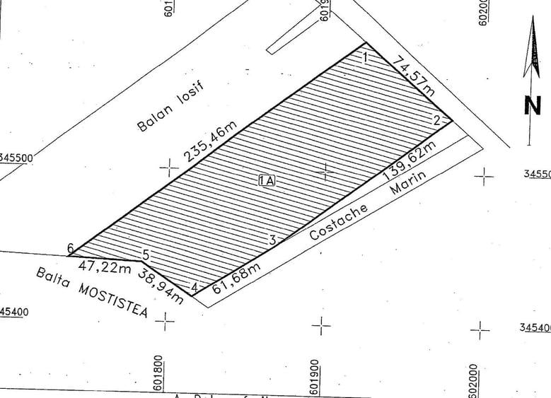 Teren Construcții intravilan de 15000 mp, în Ștefăneștii de Jos
