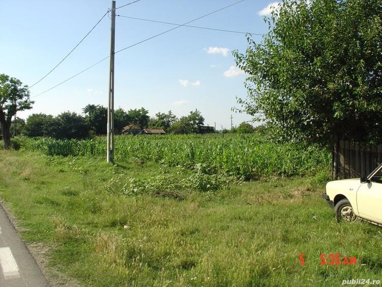 Teren de 2500 mp, în Sălcioara