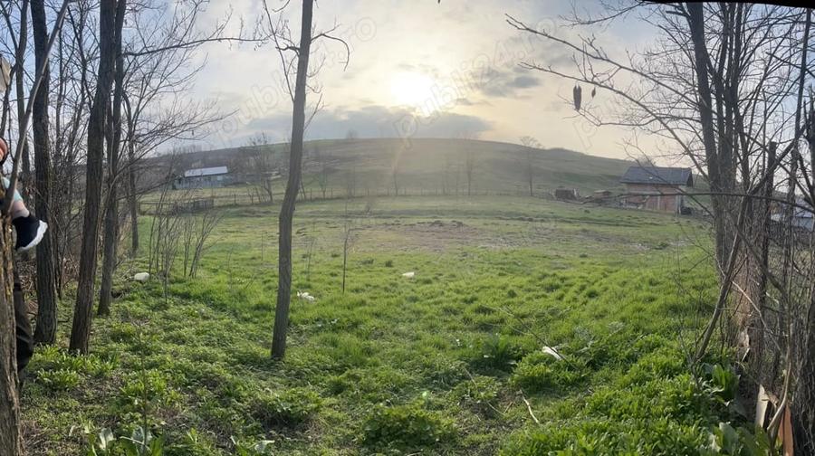 Teren de 1800 mp, în Vânători