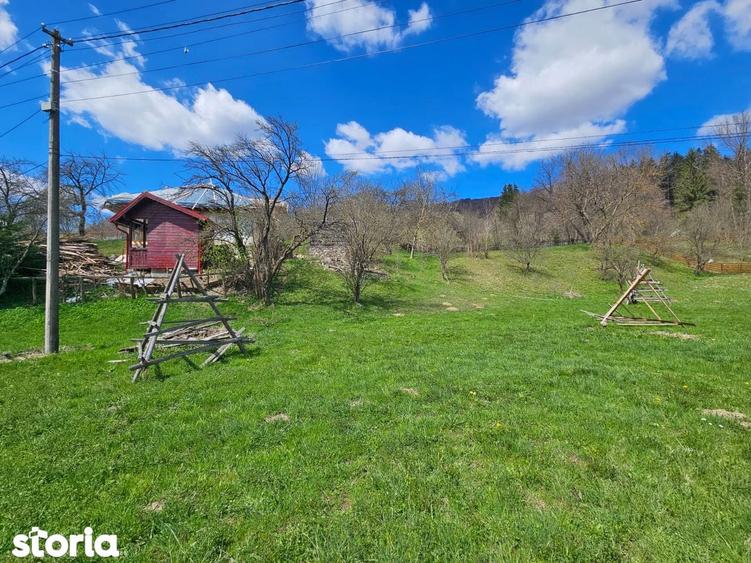 Oportunitate de Investi?ie: Teren Intravilan 2000 mp in Valea Doftanei - 6
