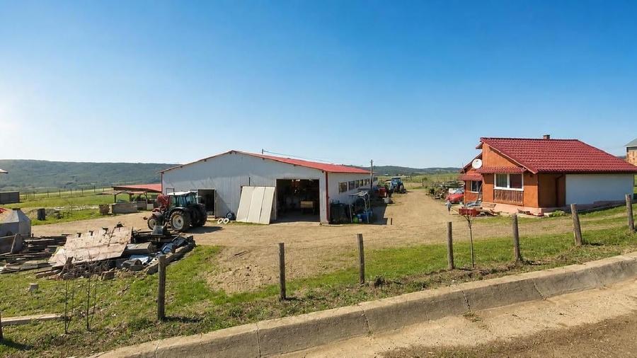 Spațiu industrial, de 717 mp, în Todireni