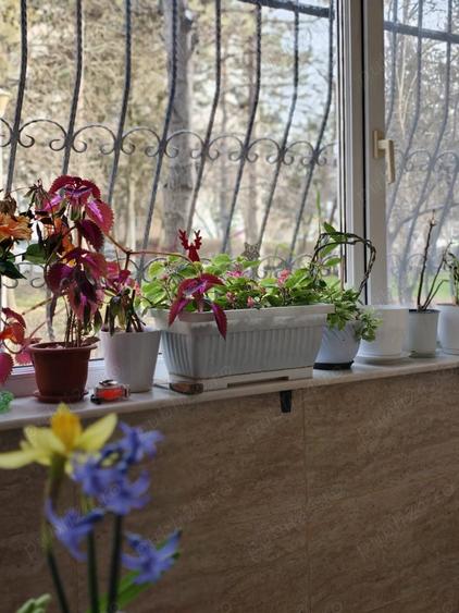 Apartament cu 3 camere decomandat în Tomis Nord