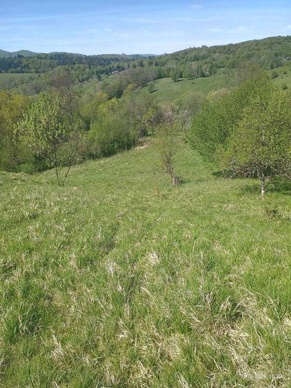 Teren de 10000 mp, în Bughea de Sus