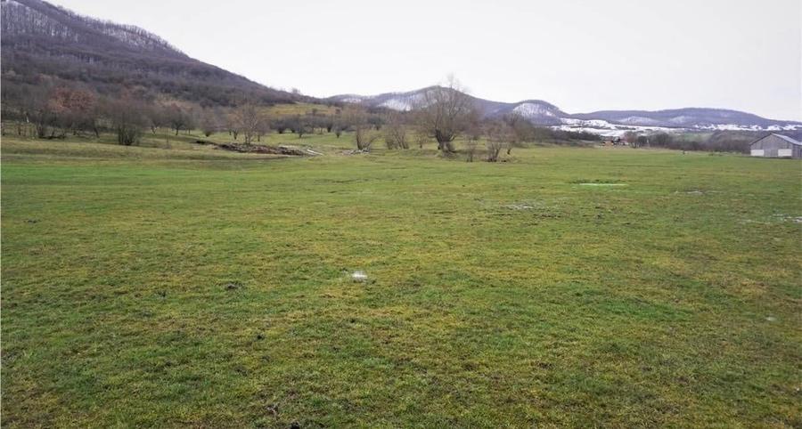 Teren agricol extravilan de 7200 mp, în Exterior Sud