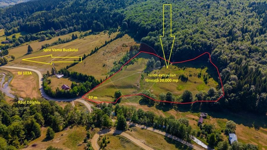 Teren agricol extravilan de 20000 mp, în Dălghiu