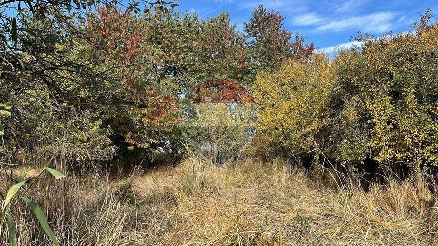 Teren agricol extravilan de 2900 mp, în Gheorghieni