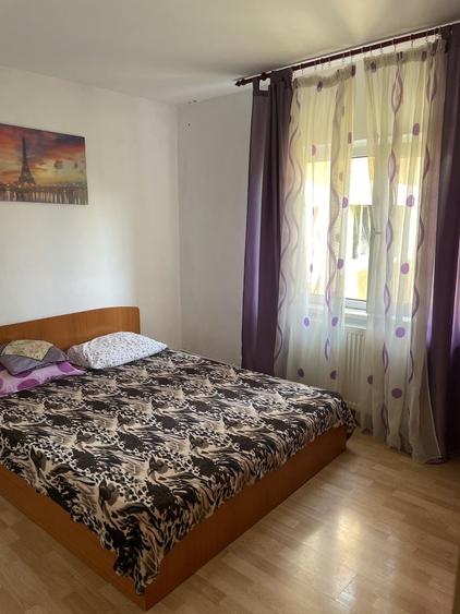 Apartament 2 canere Rovine - 4