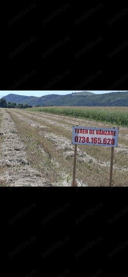 Teren de 8000 mp, în Podu Oltului