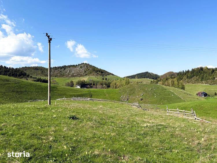 Teren intravilan, 8400 mp, comuna Fundata, zona Bran-Moeciu, Brasov - 1