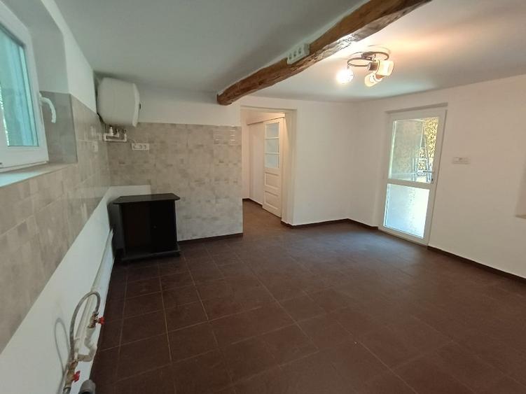 Casă individuală cu 5 camere cu Teren 9000 Mp în Icoana