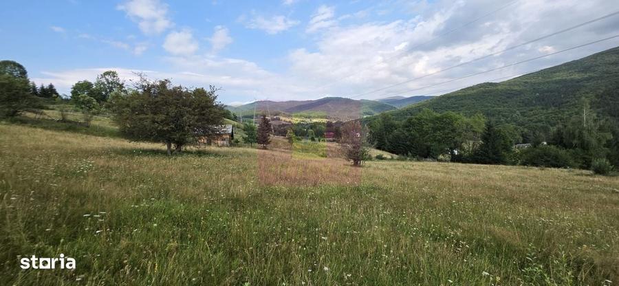 Teren intravilan de vanzare 3500 mp in Valea Doftanei - 1