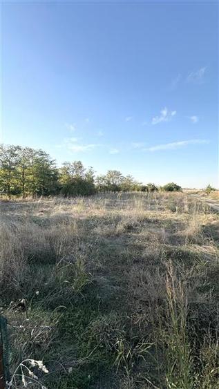 Teren Construcții extravilan de 1010 mp, în Exterior Sud