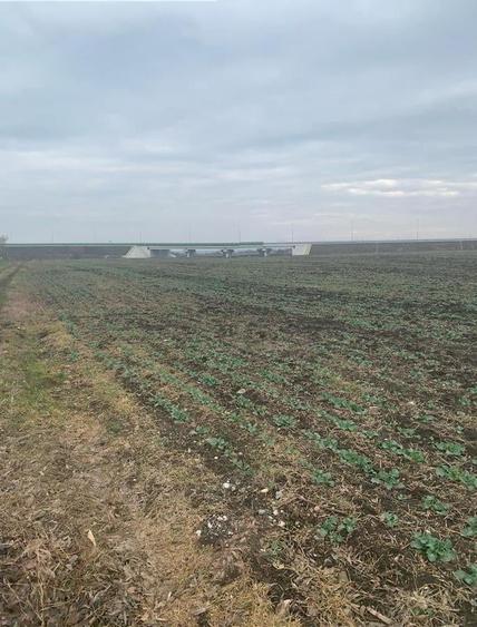 Teren Construcții intravilan de 2484 mp, în Corbeanca