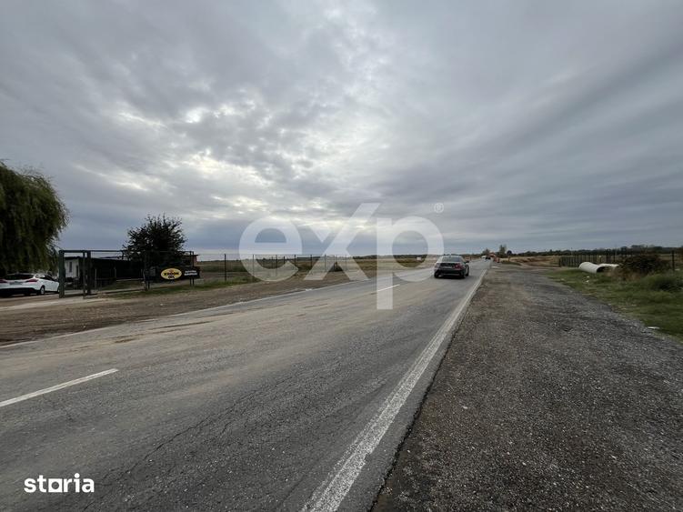 Teren de 15000 mp, în Sud