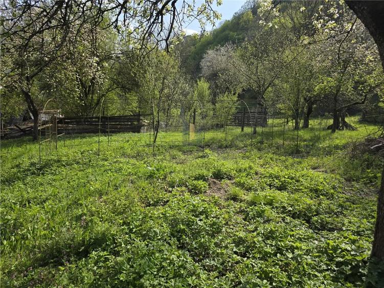 Casa cu teren generos in zona turistica de munte ,Nadrag,Timis - 8