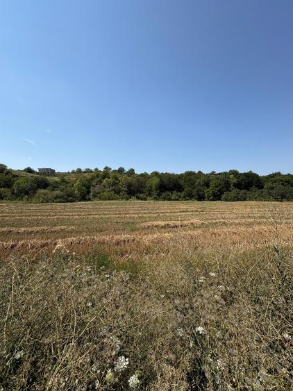 Teren Construcții intravilan de 775 mp, în Ortelec