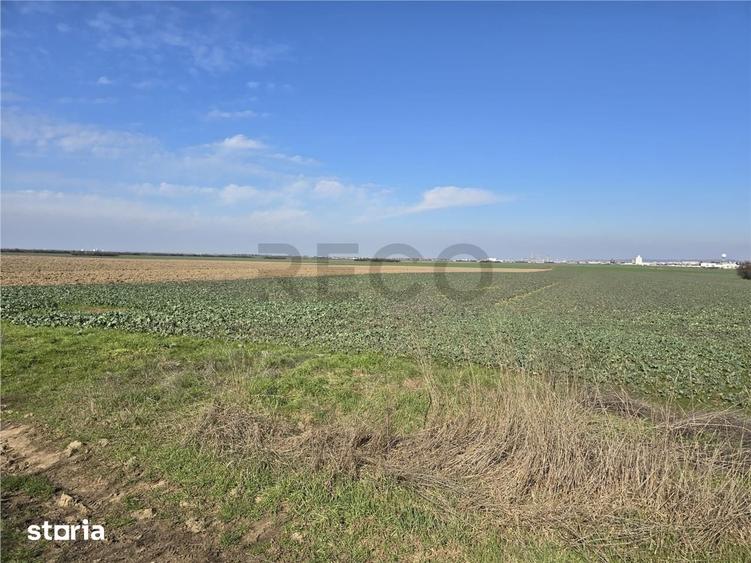 Teren de 22418 mp, în Calea Aradului