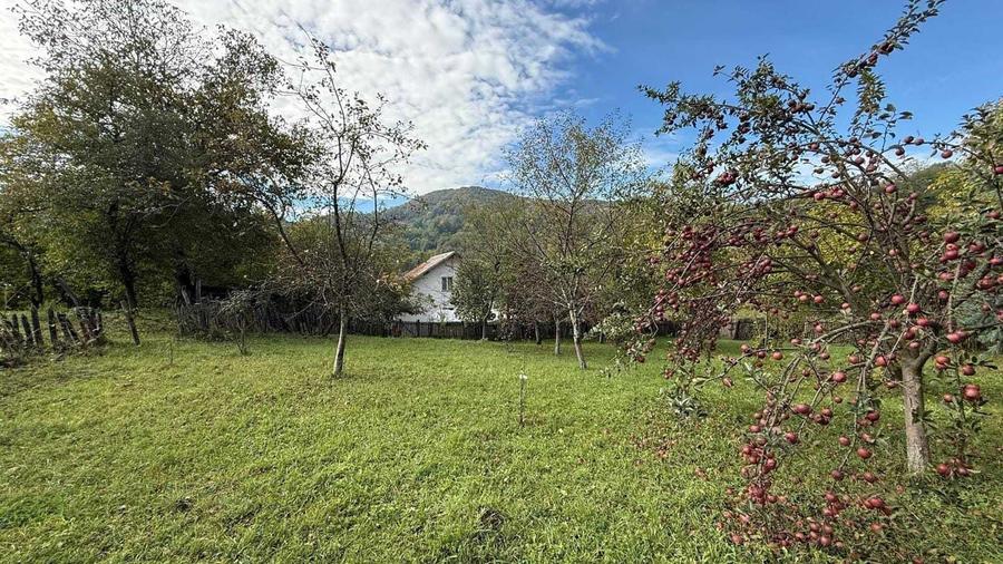 Teren de 7582 mp, în Cosmina de Jos