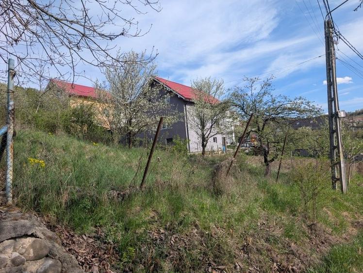 Teren de vanzare Valea Jelnii langa asfalt - 5