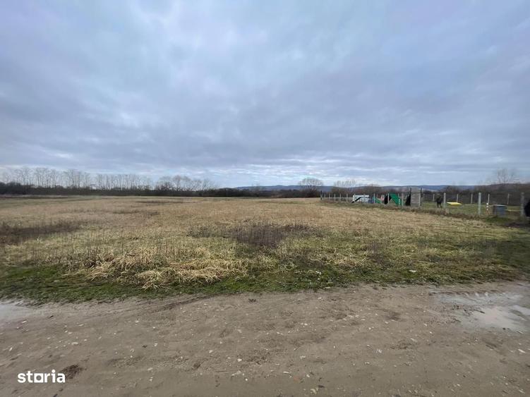 Teren de 5700 mp, în Oșorhei