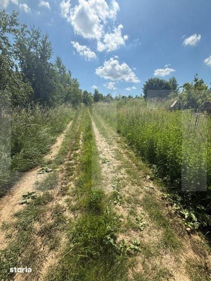 Casă cu 3 camere cu Teren 5550 Mp în Mihai Eminescu